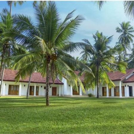 Coco Villa Peach Tree Katunayaka Esterno foto